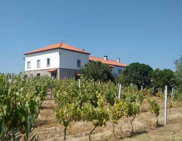 Quinta De Vodra Villa Seia Eksteriør bilde