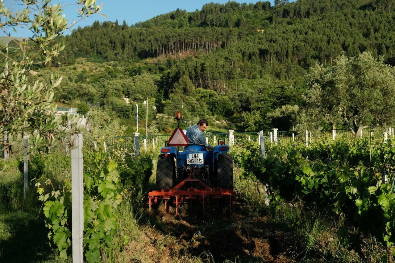 Quinta De Vodra Villa Seia Eksteriør bilde