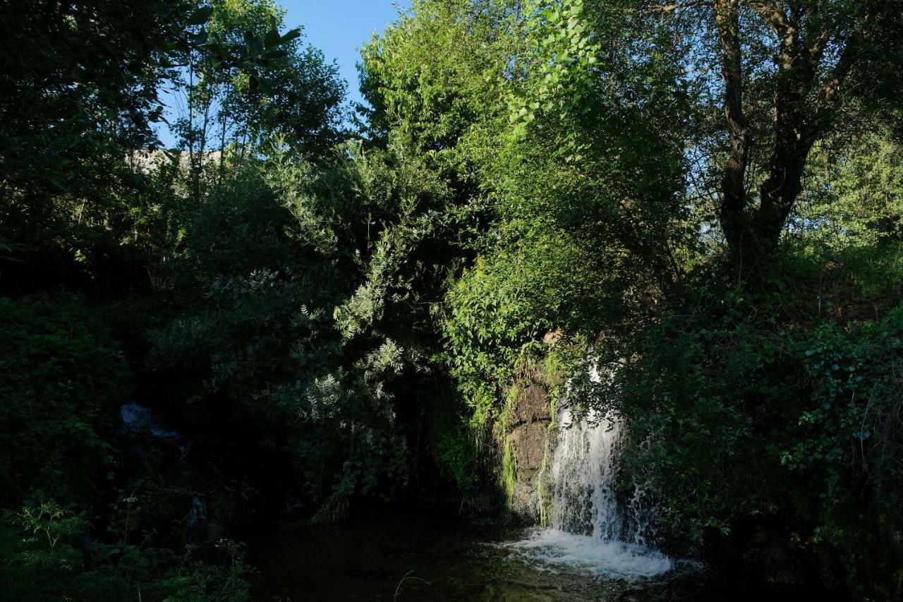 Quinta De Vodra Villa Seia Eksteriør bilde